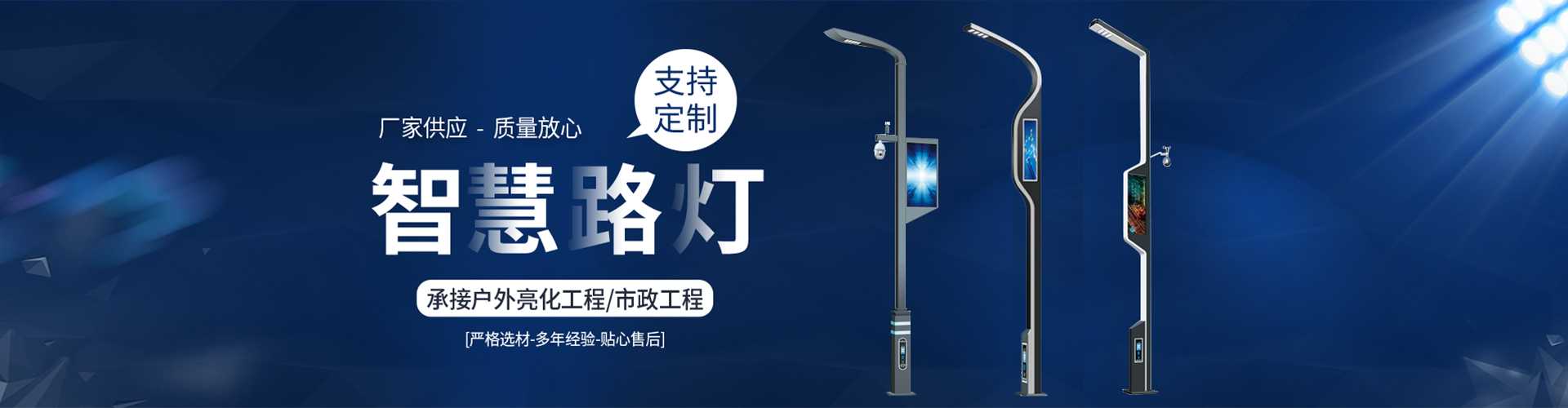 瓯海区太阳能路灯定制厂家