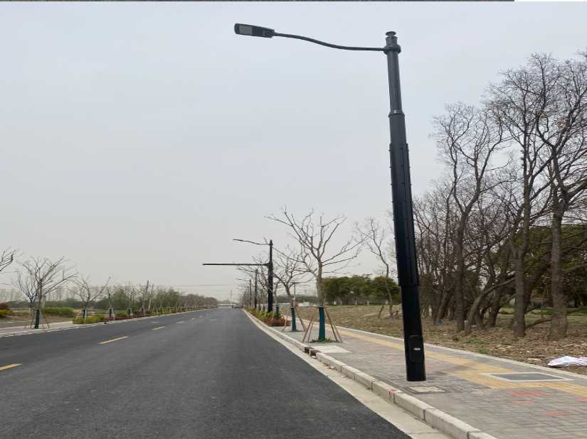 瓯海区上海综合杆 太阳能路灯工程